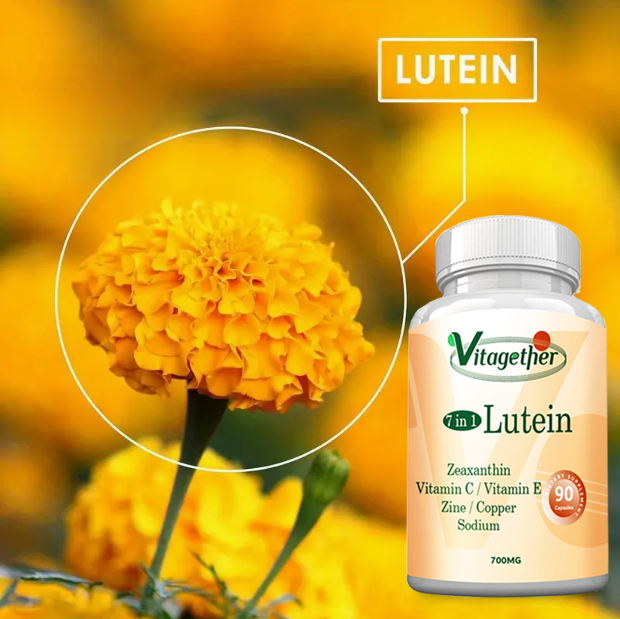 Vitagether Lutein Supplement Capsules - Eye Health Vitamin - Promotes Healthy Vision, Tagetes erecta extract, Natural Carotenoids,Premium Formula Healthcare Dietary Edible,90capsules